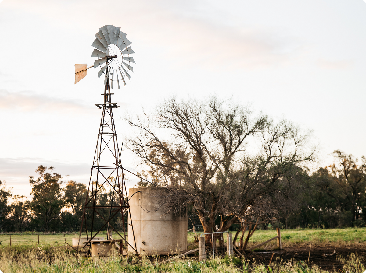 An old metal windmill stands beside a large concrete water tank in a rural field, with bare trees and a line of foliage in the background under a pale sky.