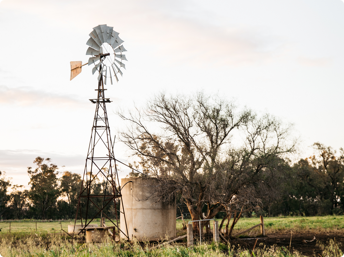 An old metal windmill stands beside a large concrete water tank in a rural field, with bare trees and a line of foliage in the background under a pale sky.