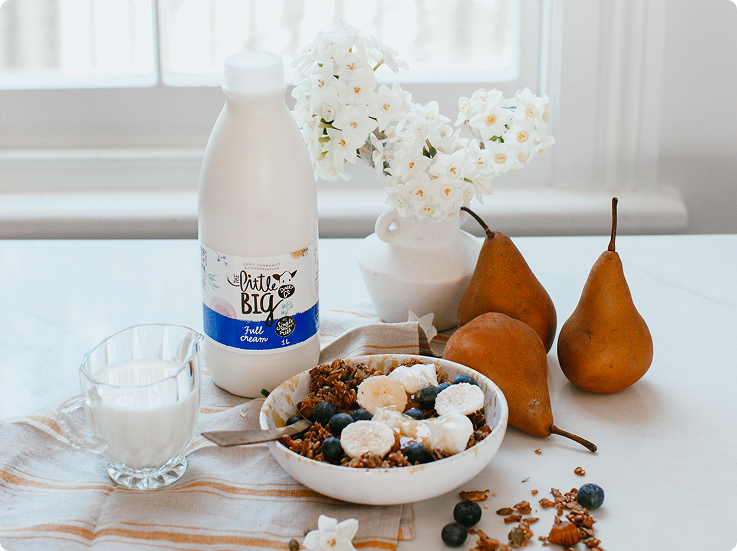 A bottle of Little Big Dairy Full Cream Milk stands on a white table next to a glass of milk, a bowl of granola with fruit, and three pears, with white flowers in a vase in the background.