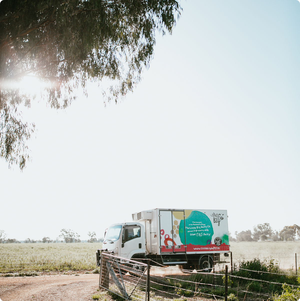 A white box truck with text on the side is parked outdoors on a dirt path near a wire fence, with a bright sky and tree branches framing the top of the photo.