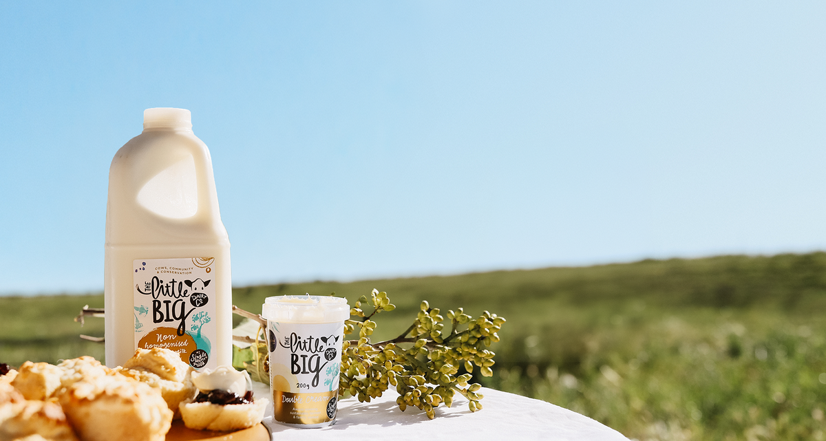 A bottle of Little Big Dairy non-homogenised milk and double cream on a white tablecloth outdoors, with scones, jam, and greenery in the foreground and a blurred grassy field under a blue sky in the background.