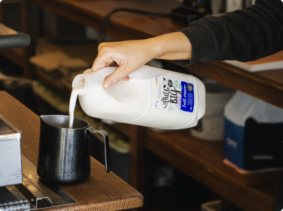 A person pouring milk from a plastic jug labeled 'Little Big Dairy Full Cream' into a black metal pitcher on a wooden counter in a kitchen or cafe setting.