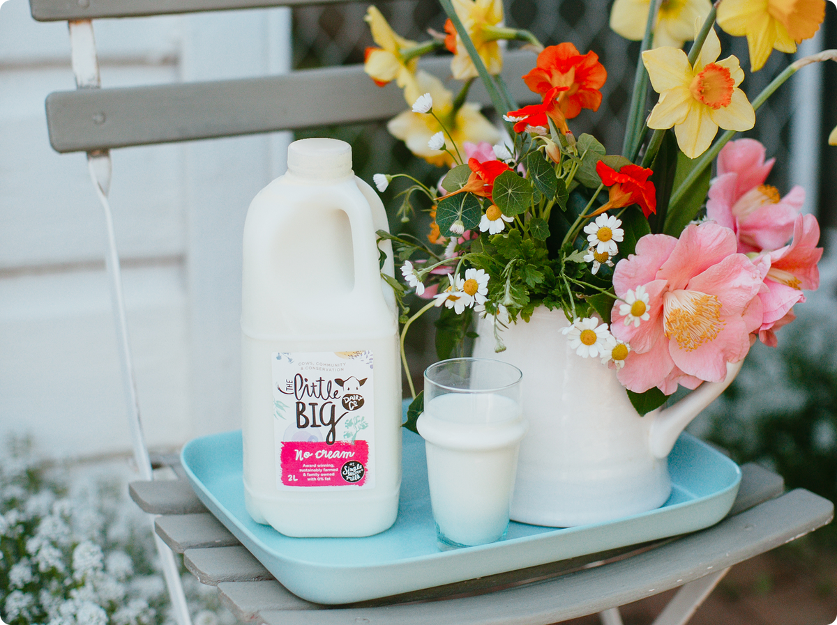 Little Big Dairy No Cream Milk in a 2L bottle on a light blue tray next to a white pitcher filled with colourful flowers, set on a grey wooden chair.